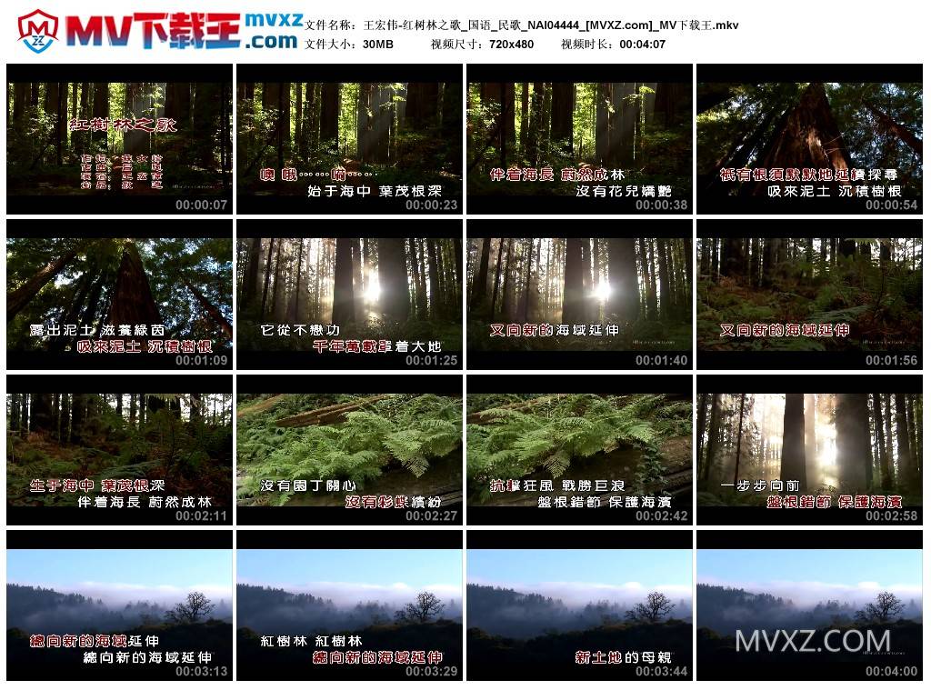 王宏伟-红树林之歌_国语_民歌_NAI04444